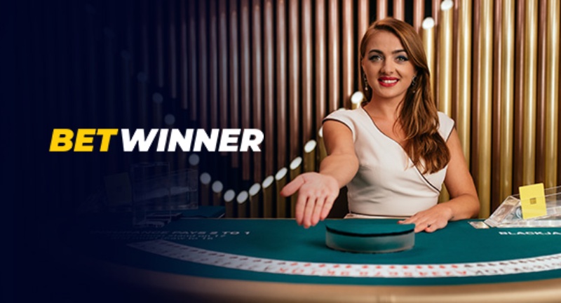Everything You Need to Know About Betwinner Login 5